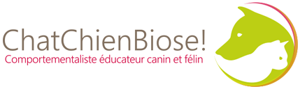 Chat Chien Biose